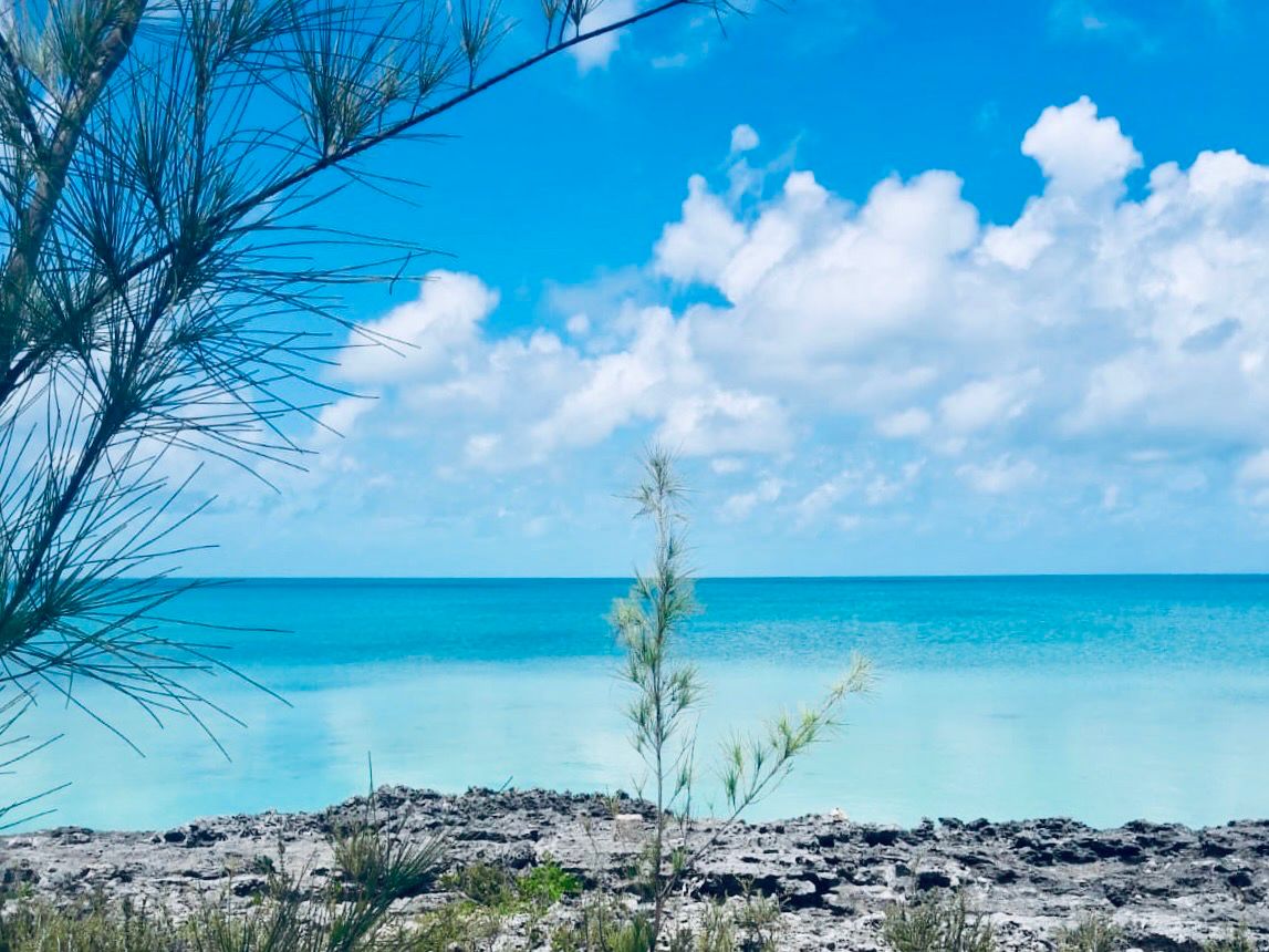 Coastal highway and Caribbean shoreline in The Bahamas